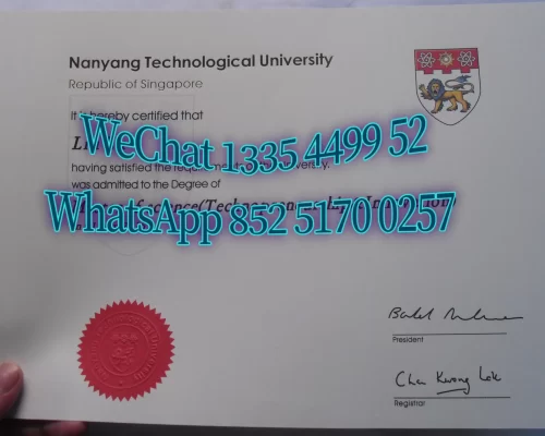 Diploma from Nanyang Technological University