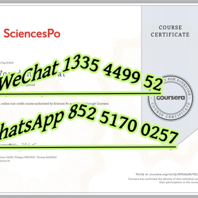 Sciences Po Paris Review: Top Programs & Honest Experience