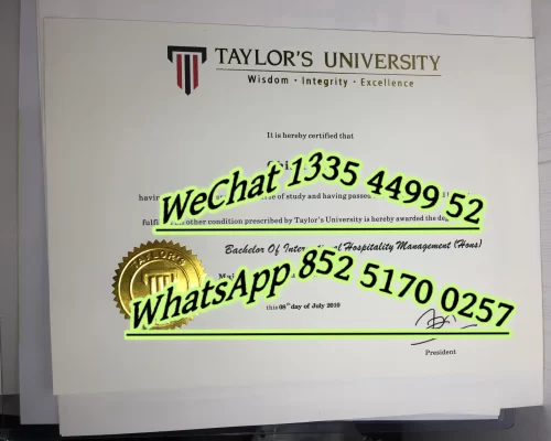Diploma from Universiti Tek Malaysia