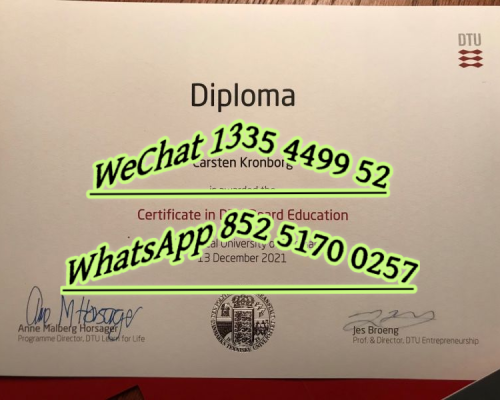 Diploma from the Danish University of Technology