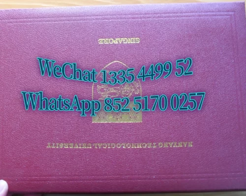 Nanyang Technological University Diploma Shell
