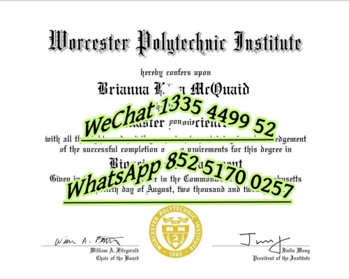 Worcester Polytechnic Institute Diploma