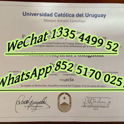 What Makes Uruguay’s University of the Republic Special? 2025 Guide