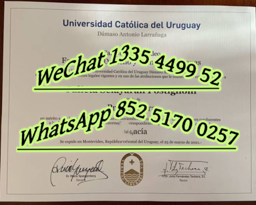 乌拉圭共和国大学文凭_Diploma from the University of the Republic of Uruguay