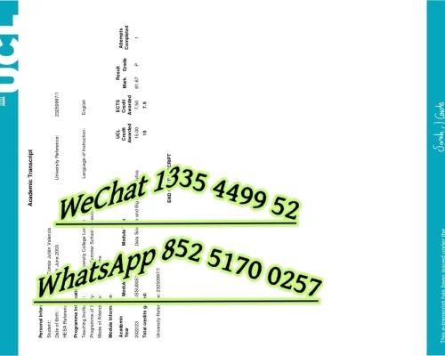 伦敦大学学院成绩单-Transcript of University College London