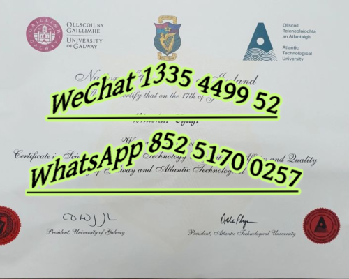国立爱尔兰大学高威文凭-National University of Ireland Galway Diploma