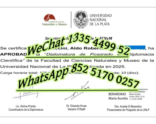 拉普拉塔国立大学文凭-Diploma from the National University of La Plata