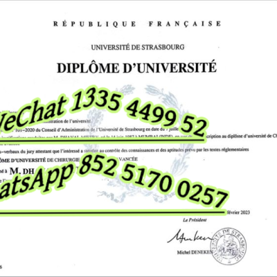 French Universities Detailed Guide: 2025 Study Abroad & Application Tips