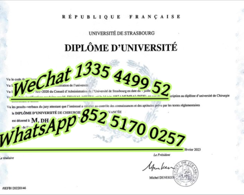 斯特拉斯堡大学毕业证-Diploma of the University of Strasbourg