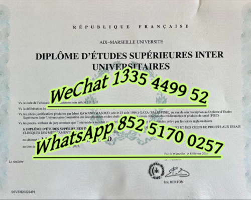 艾克斯-马赛大学毕业证-Diploma from Aix Marseille University