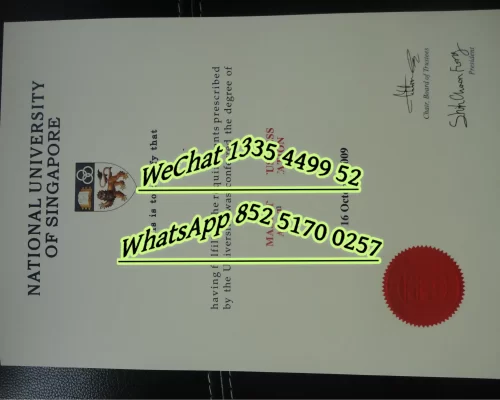 新加坡国立大学毕业证Diploma from National University of Singapore